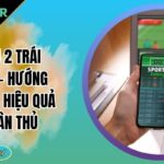 Tài xỉu 2 trái Gem88